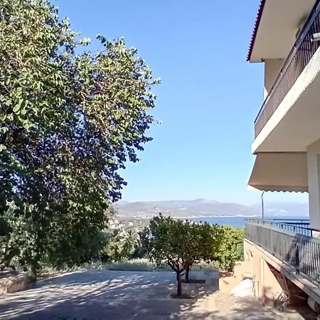 Aperando * Толон